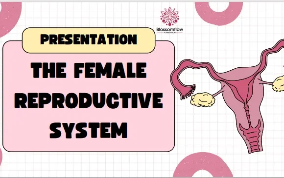 Breaking the Stigma: Understanding the Female Reproductive System and Combating Period Poverty