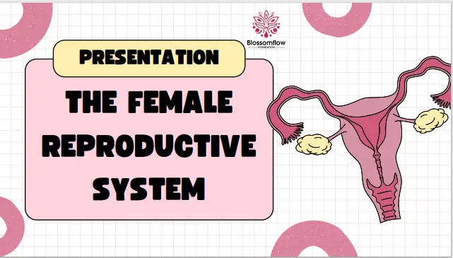 Illustration of the female reproductive system, showing key organs like the ovaries, fallopian tubes, uterus, and cervix, highlighting the importance of understanding reproductive health.