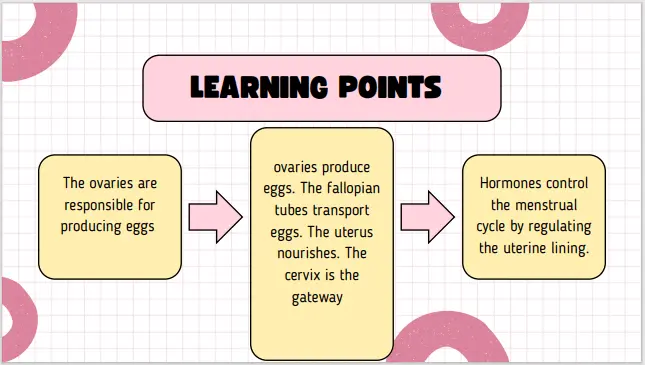 Diagram of the menstrual cycle showing the phases—menstrual, follicular, ovulation, and luteal—with hormone levels and key changes in the female body during each phase.