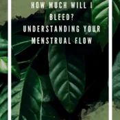 Understanding menstrual flow