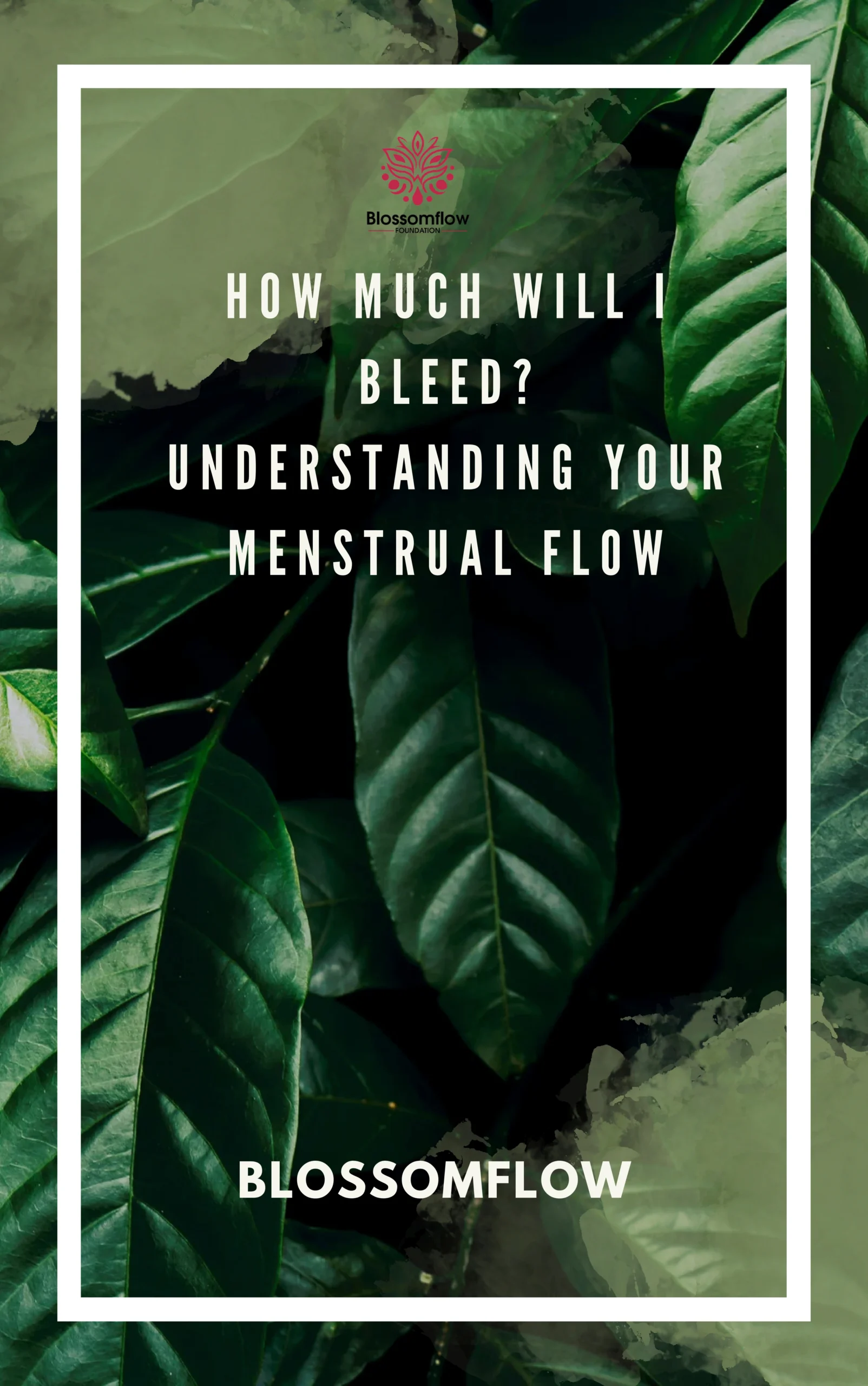 Understanding menstrual flow