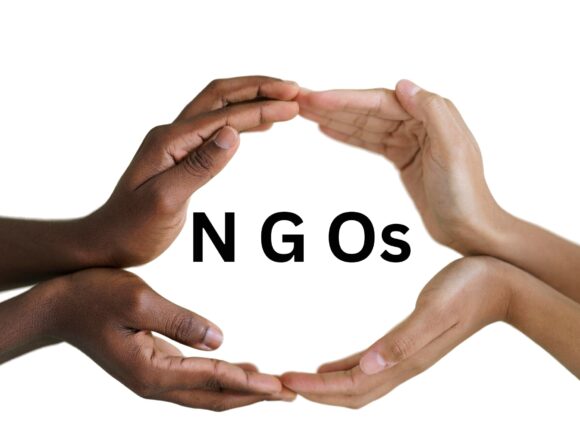 The Role of NGOs and Social Enterprises in Fighting Period Poverty