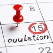 Period Dates