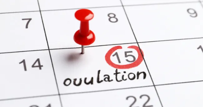 Period Dates